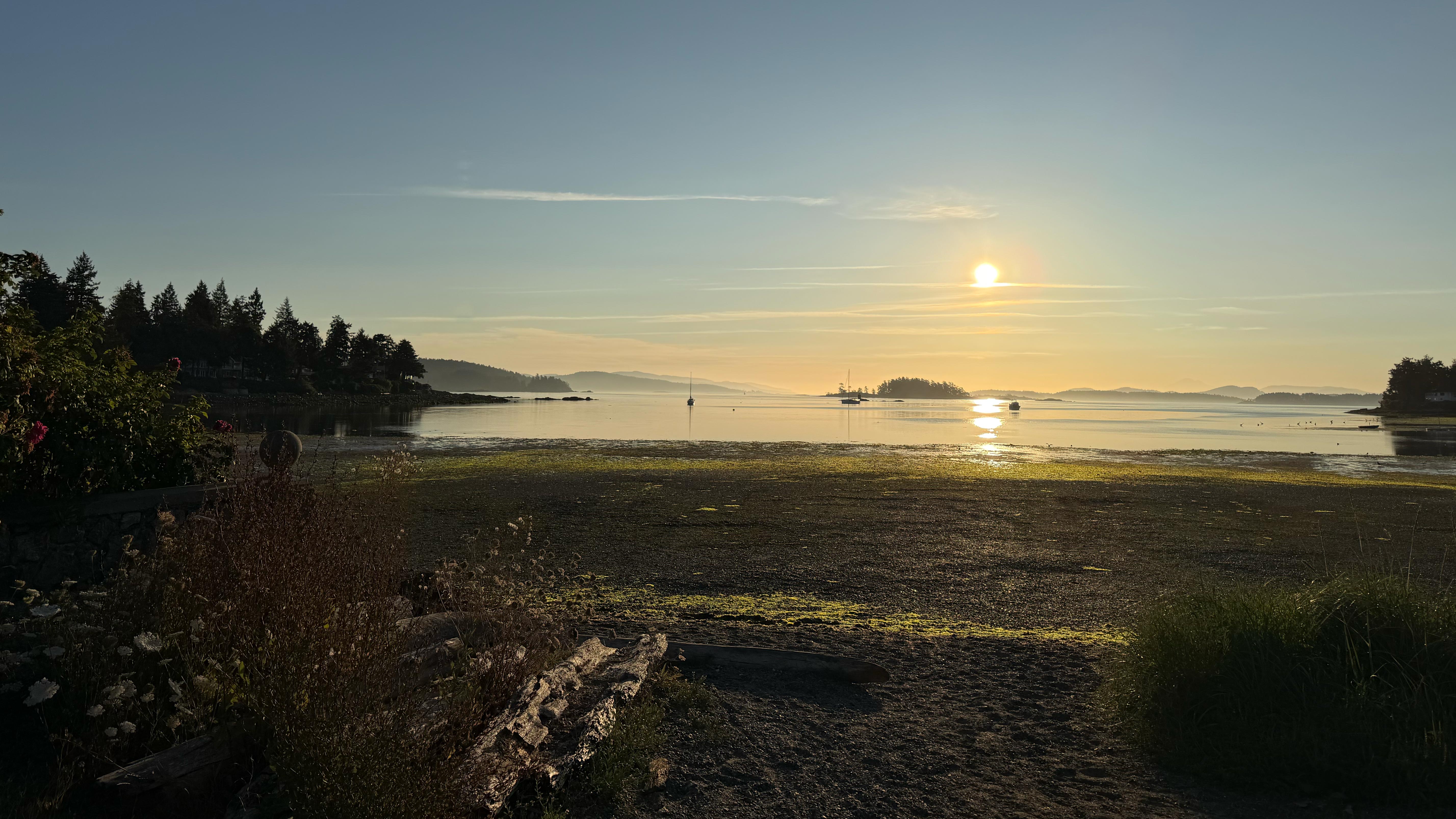 Behind Aligned — 100 Days of Writing and Doodling started strong, then went off a cliff like Thelma and Louise. This is not a new problem. I drive off the cliff, land it — albeit in pieces — reassemble, stop for an espresso, and carry on.