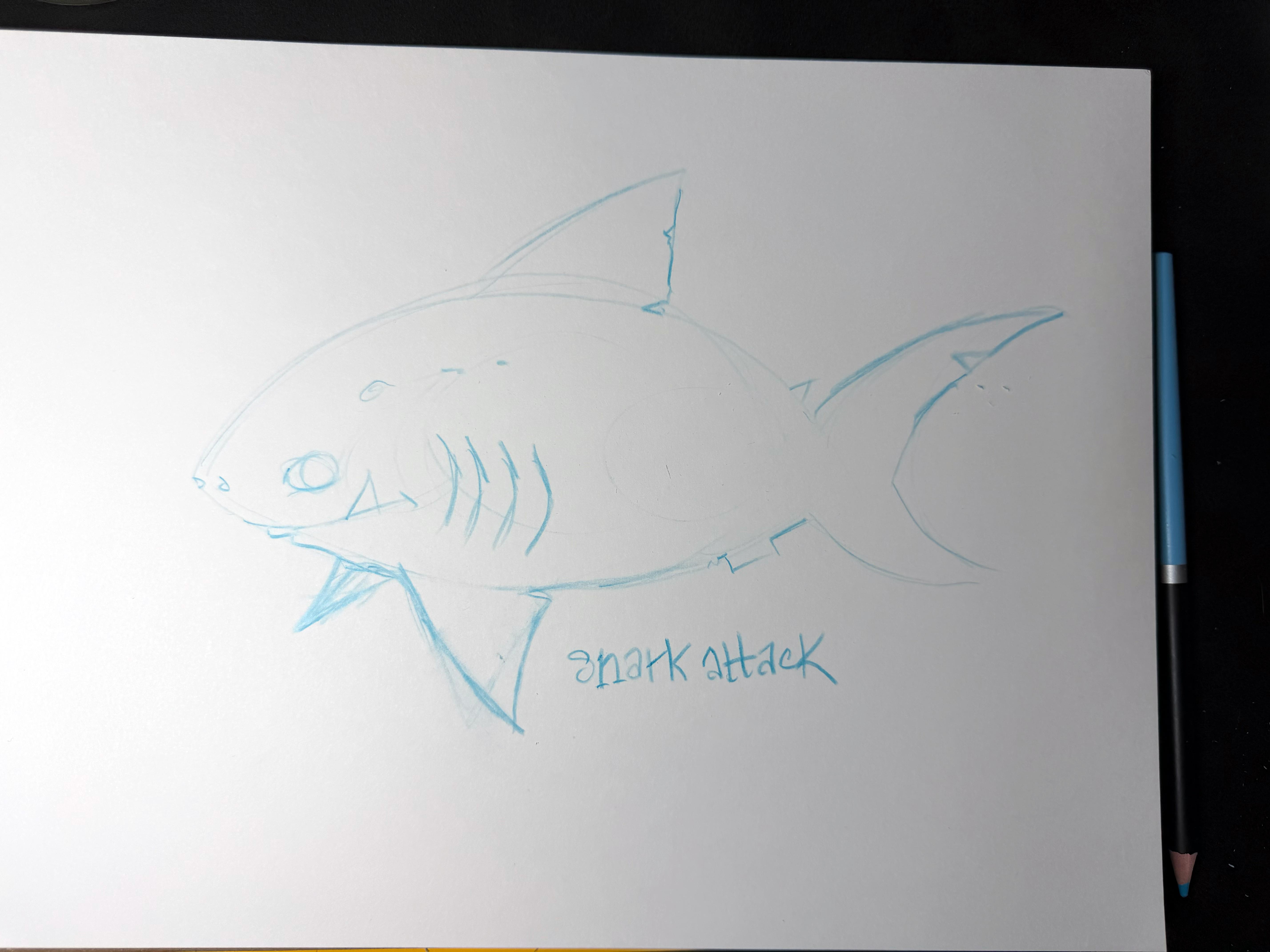 sNark Attack — rough
